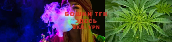 дживик Аркадак