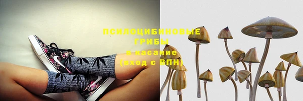 дживик Аркадак