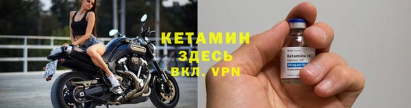 индика Арсеньев