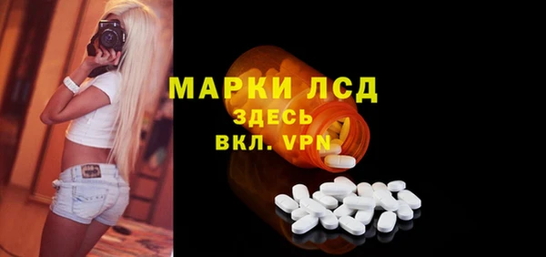 индика Арсеньев
