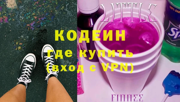 индика Арсеньев