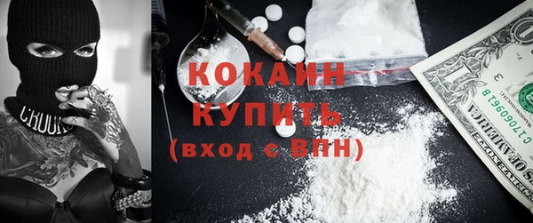 индика Арсеньев