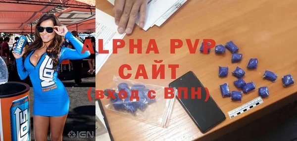 индика Арсеньев