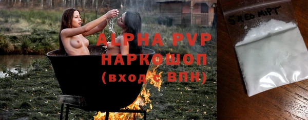 индика Арсеньев