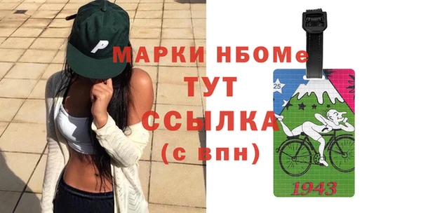 индика Арсеньев