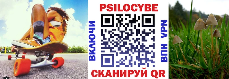 Купить где  Трубчевск  Галлюциногенные грибы Psilocybine cubensis 